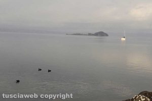 Il lago di Bolsena