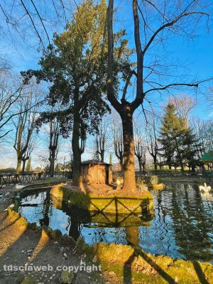 Terni al mattino