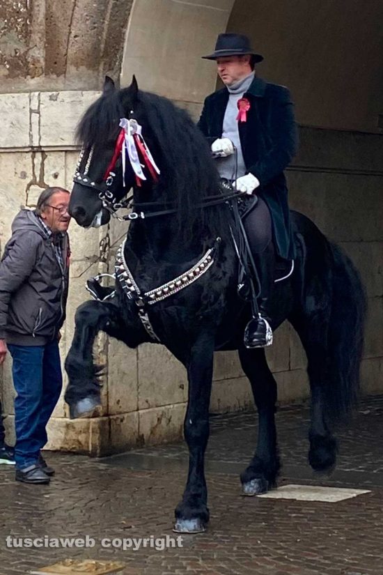 Sutri - I festeggiamenti per Sant'Antonio