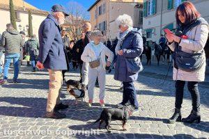 Viterbo - La benedizione degli animali per Sant'Antonio abate
