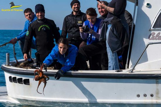 Civitavecchia - Guardia di finanza - Recuperata rete di 200 metri