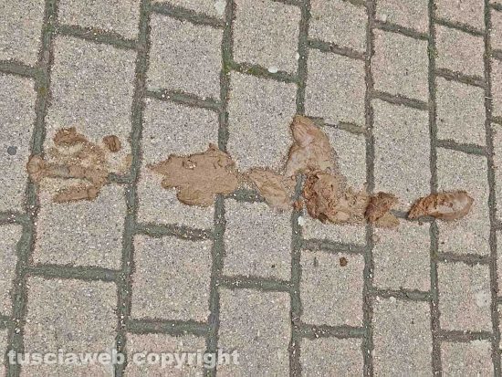 Escrementi di cane sul marciapiedi