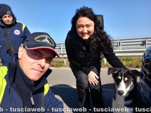 Tarquinia - Valentina Paterna e i volontari dell'Aeopc salvano un cucciolo di cane vagante per strada