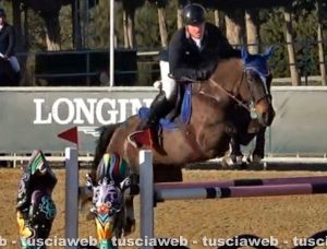 La cavalla Toulanda di Federica Breda e Domenico Merlani