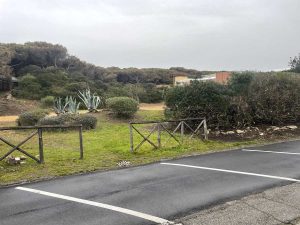 Montalto di Castro - Recupero del verde urbano