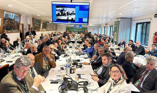 Bruxelles - Platea 7 assemblea