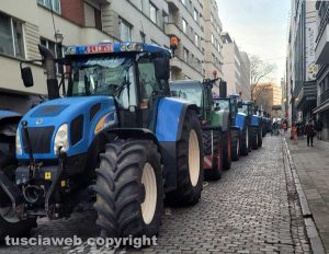 Bruxelles - Agricoltori in protesta davanti all'Europarlamento