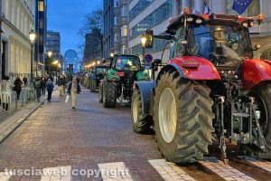 Bruxelles - Agricoltori in protesta davanti all'Europarlamento