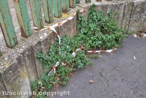 Viterbo - Nastri di plastica in via Cattaneo