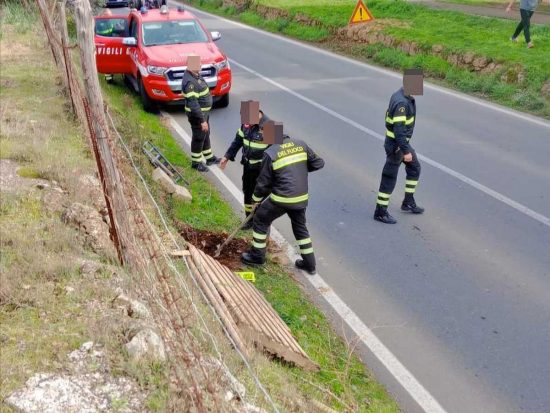 Canino - Cucciolata salvata dai vigili del fuoco