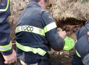 Canino - Cucciolata salvata dai vigili del fuoco
