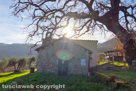 Una passeggiata nei dintorni di Montefiascone