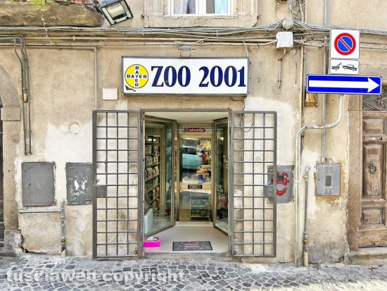 Viterbo - Zoo 2001