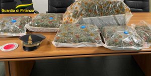 Rieti - Guardia di finanza - Lo stupefacente trovato nel pacco postale
