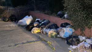 Civitavecchia - Rifiuti in zona Torre Valdaliga Sud