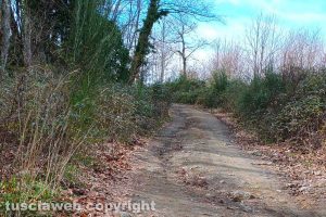 Viterbo - La strada che porta a Cima Coppi