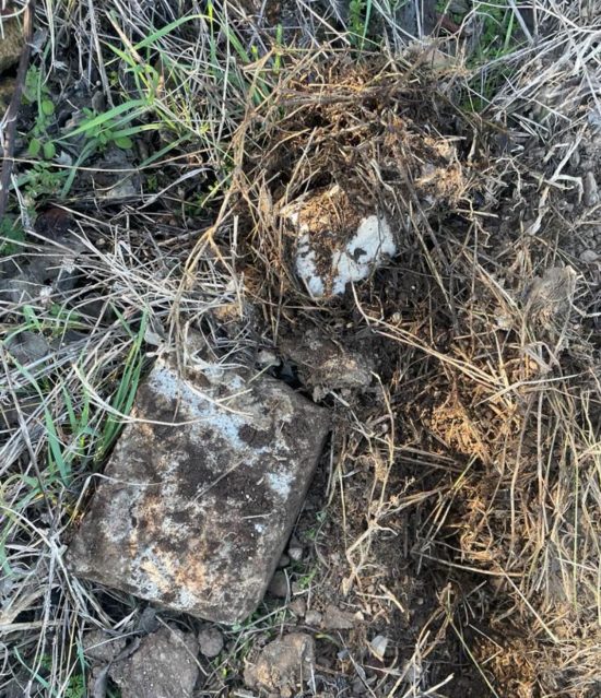 Fabrica di Roma - Il luogo del ritrovamento della testa marmorea scoperta a Falerii Novi