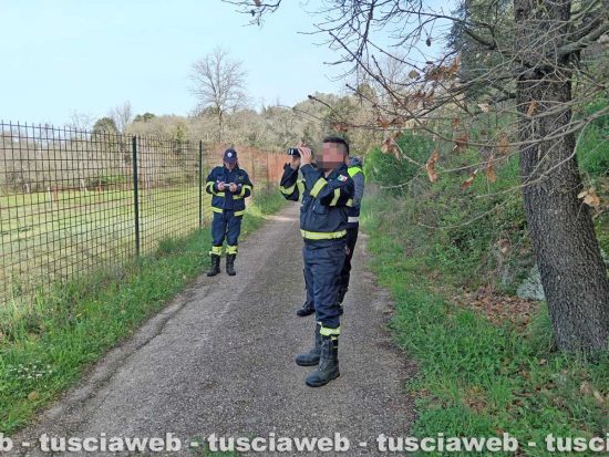 Faleria - Le ricerche del giovane scomparso