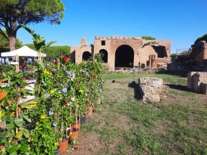 Civitavecchia - Terme in fiore