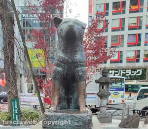 Tokyo - La statua del cane Hachiko