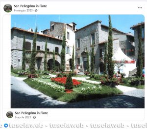 Pagina Facebook San Pellegrino in Fiore, i post più recenti sulla manifestazione viterbese