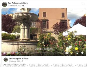 Pagina Facebook San Pellegrino in Fiore, i post più recenti sulla manifestazione viterbese