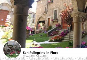 La pagina Facebook San Pellegrino in Fiore