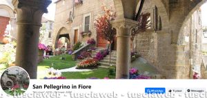 La pagina Facebook San Pellegrino in Fiore