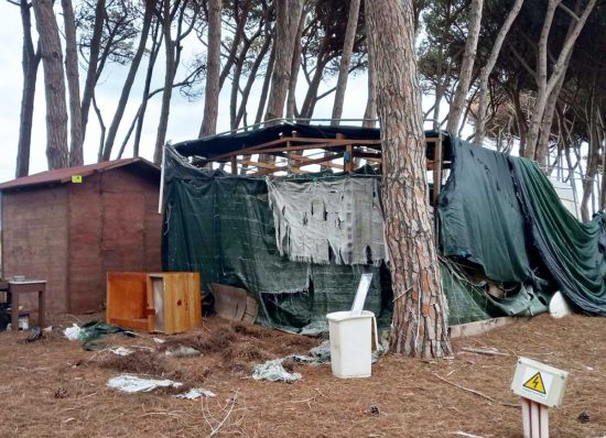 Civitavecchia - Degrado nella pineta interna al campeggio Traiano