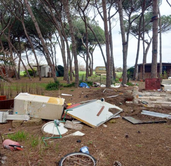 Civitavecchia - Degrado nella pineta interna al campeggio Traiano