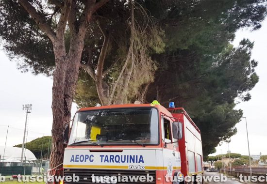 Tarquinia - Rami caduti per maltempo, l'intervento dei volontari Aeopc e della polizia locale