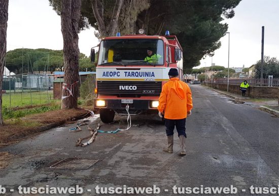 Tarquinia - Rami caduti per maltempo, l'intervento dei volontari Aeopc e della polizia locale