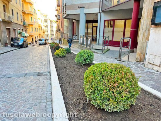Viterbo - L'aiuola di via Matteotti