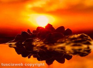 Tramonti, luce e riflessi