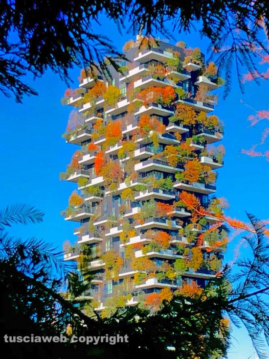 Milano - Il bosco verticale