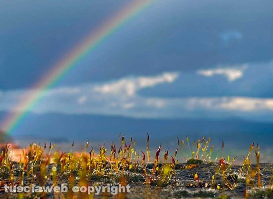 Un arcobaleno dopo la tempesta