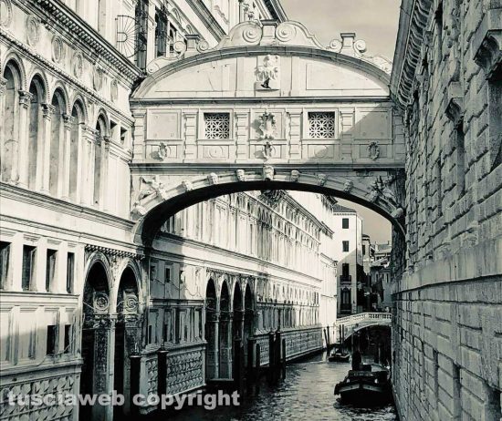 Venezia