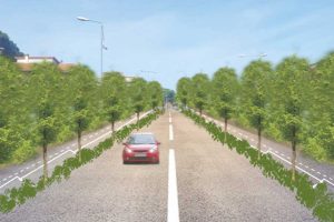 Tarquinia - Il progetto esecutivo del "nuovo" viale Mediterraneo