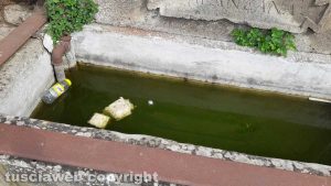 Viterbo - La fontana di fronte al cimitero nel degrado