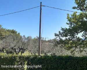 Vetralla - Palo dell'energia elettrica in via Foro Cassio
