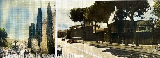 Viterbo - Il progetto della passeggiata ecologica per il parco Melvin Jones