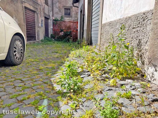 Viterbo - Il quartiere medievale
