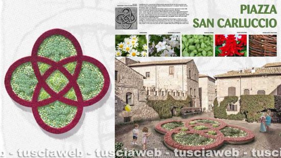 Viterbo - San Pellegrino in fiore - Piazza San Carluccio