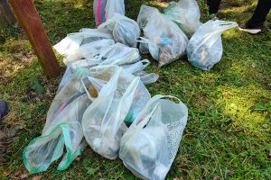 Vetralla - Il progetto "Amici del bosco"