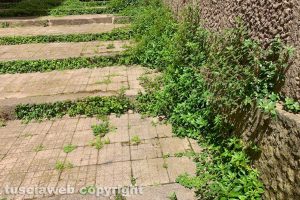 Viterbo - Le erbacce a Sant'Agostino