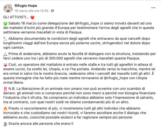 Il post del Rifugio Hope