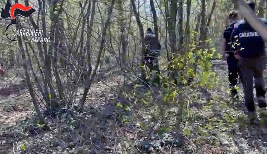 Grotte di Castro - Spaccio nel bosco  - Controlli dei carabinieri