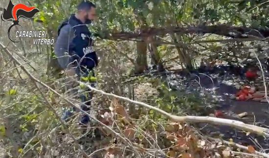 Grotte di Castro - Spaccio nel bosco  - Controlli dei carabinieri