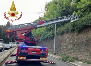 Roma - Ragazza precipita dalla terrazza del Pincio, intervento dei vigili del fuoco
