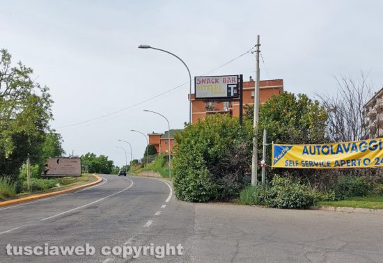 Viterbo - Siepe invade la strada e il marciapiede lungo la Tangenziale Ovest